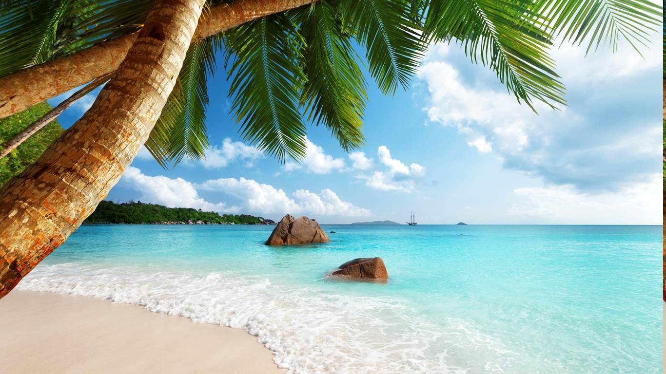 192847-Seychelles-beach-sand-palm_trees-sea-tropical-summer-exotic-landscape-clouds.jpg