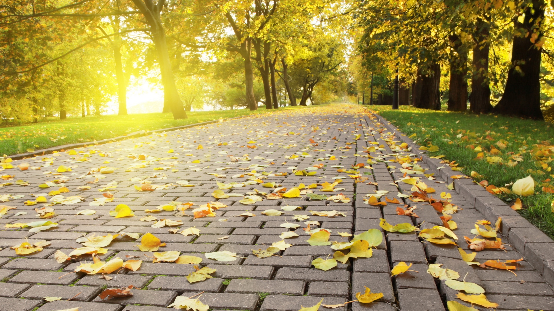 2001998-amazing-hd-nice-3d-cool-wallpaper-nature.jpg
