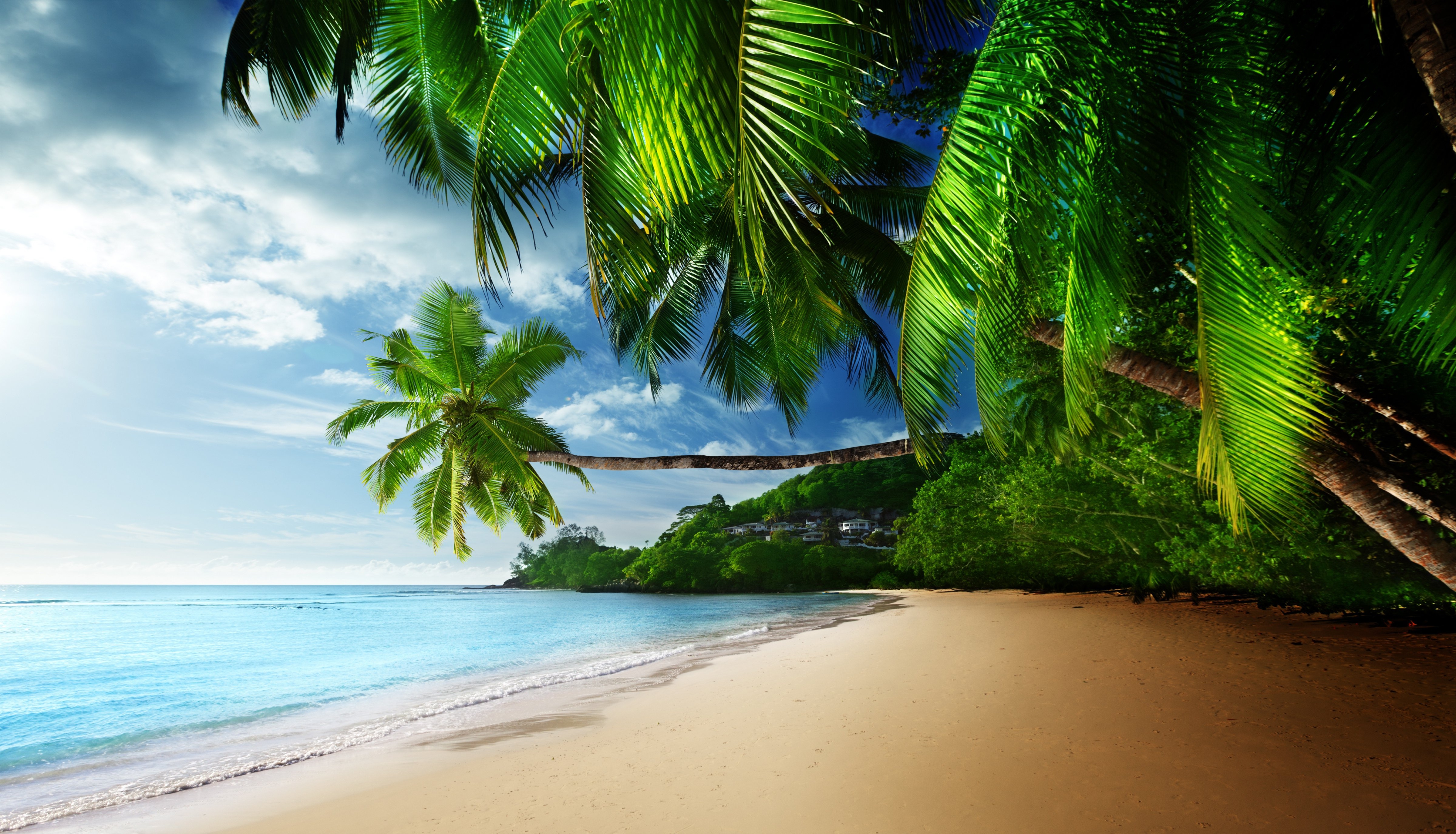 27-272716_paradise-background.jpg