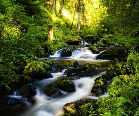 35-350477_nature-wallpapers-free-download-for-mobile-river-through.jpg