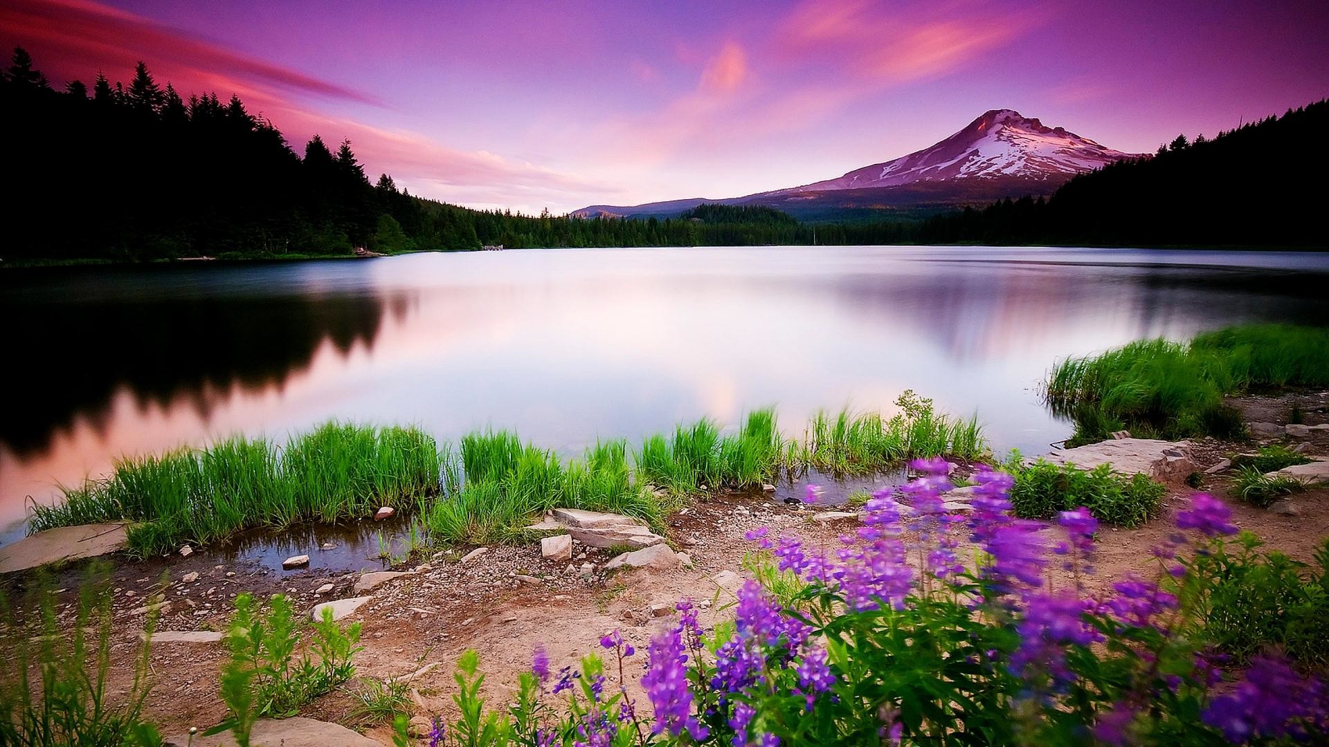 3D-HD-Nature-Wallpapers-For-Desktop-1.jpg