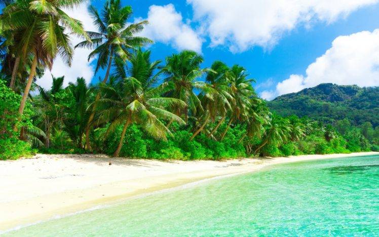 74474-beach-sand-palm_trees-748x468.jpg