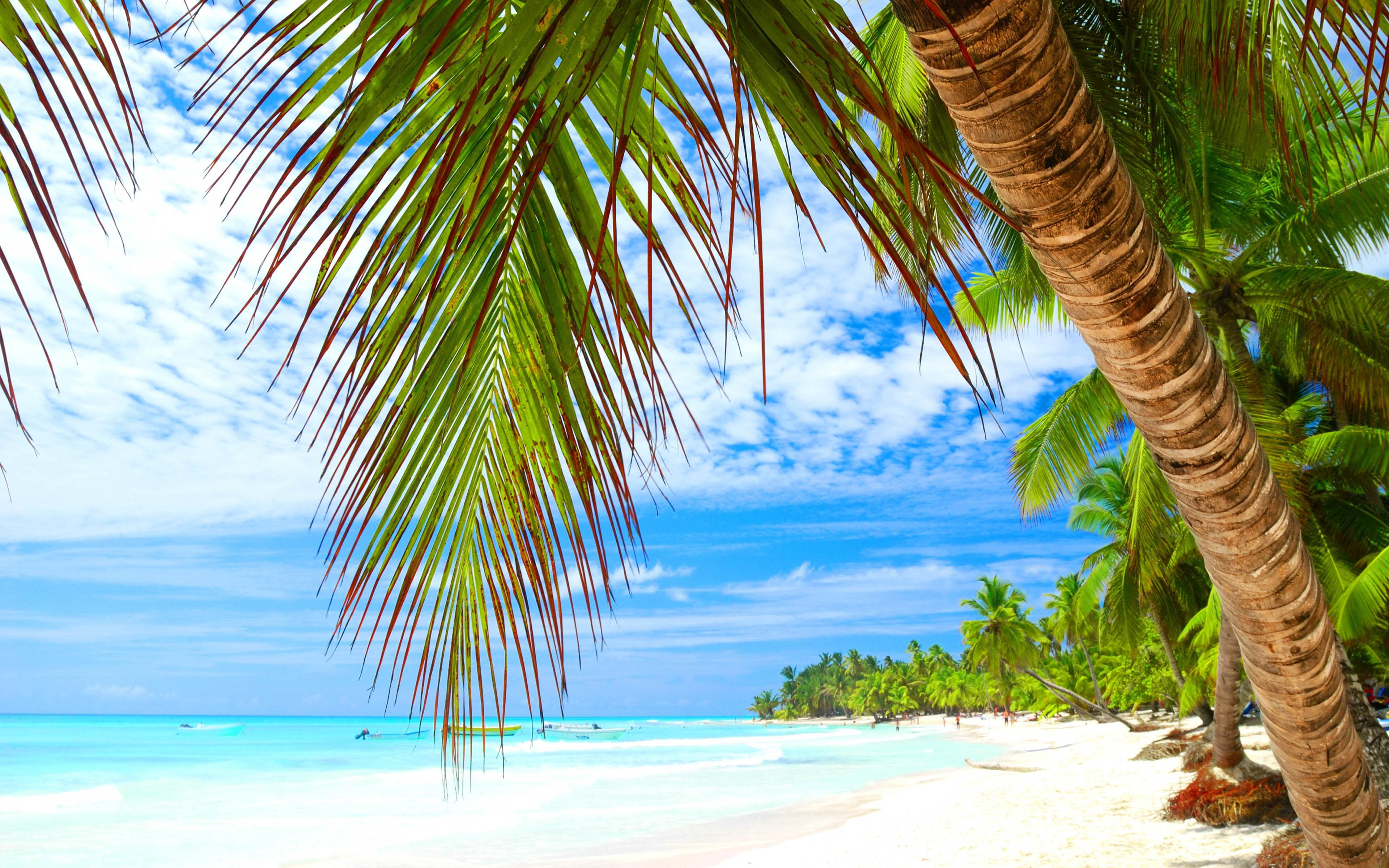 Tropical-Island-Vacation-Sea-Water-Sky-Sun-Palm-Beach-Sand-4k-Wallpapers-HD-Images-for-Desktop-and-Mobile-3840x2400.jpg