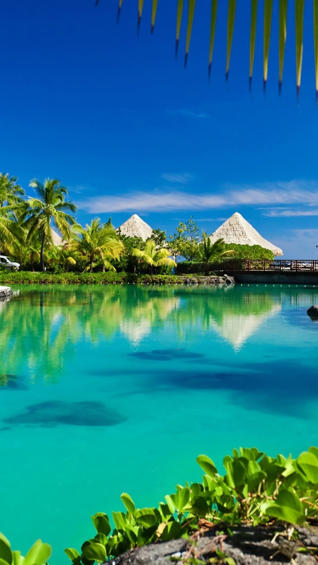 Tropical-paradise-palm-trees-sea-ocean-beach-sunshine_iphone_640x1136.jpg