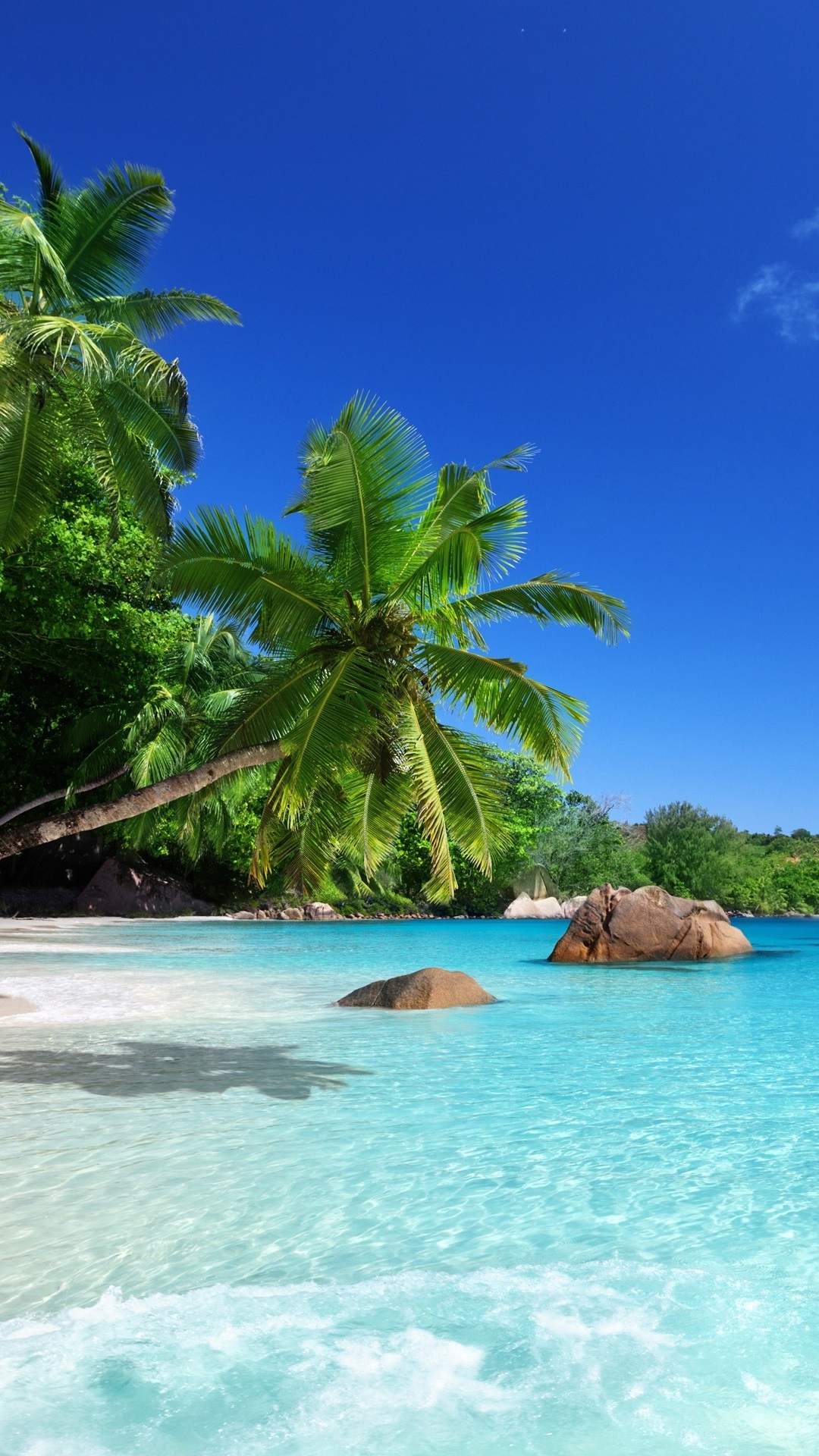 Tropical-paradise-sunshine-beach-coast-sea-palm-trees_iphone_1080x1920.jpg