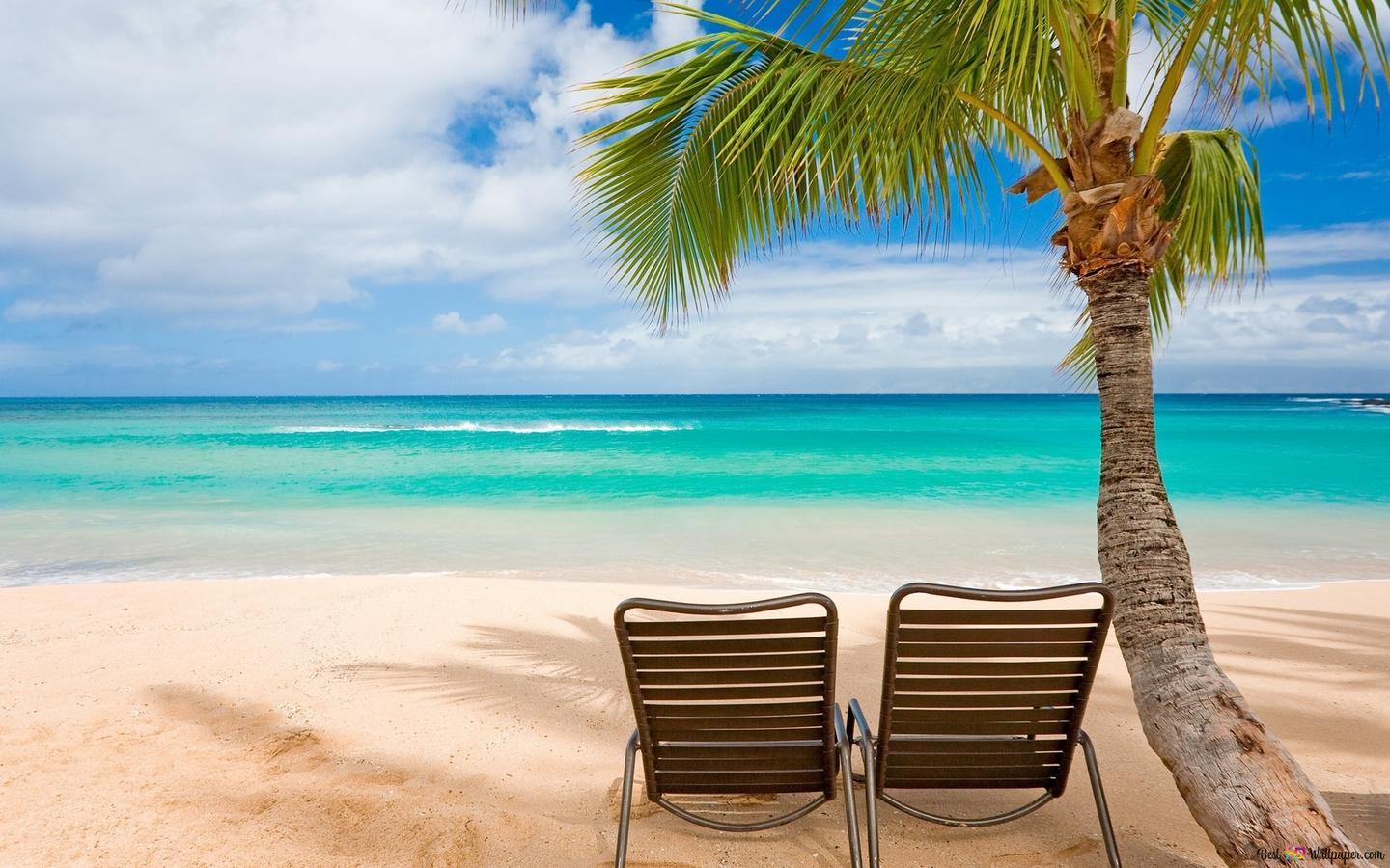 artistic-beach-background-wallpaper-1440x900_4.jpg