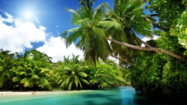 beach-lagoon-wallpaper-1653_w635.webp