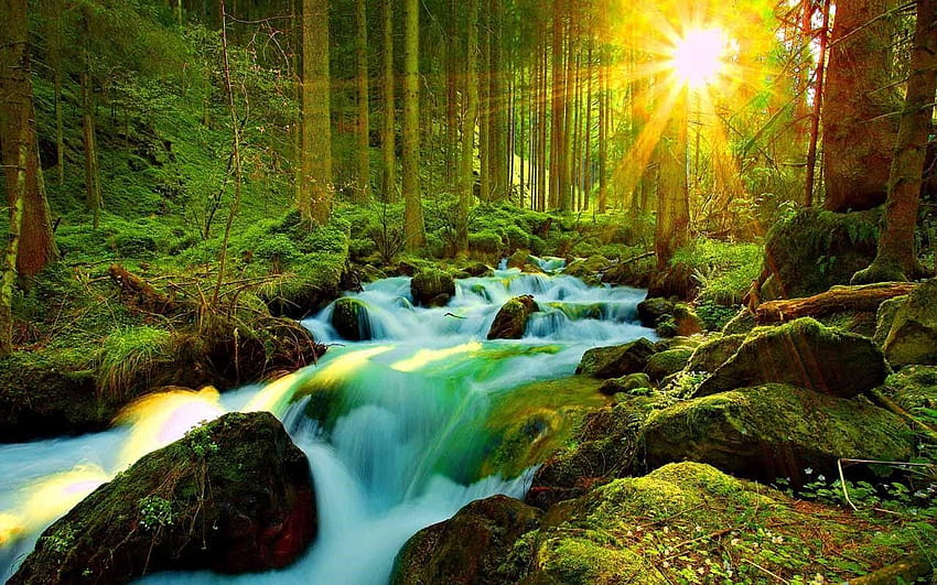 desktop-wallpaper-3d-nature-at-cool-monodomo-3d-of-nature.jpg
