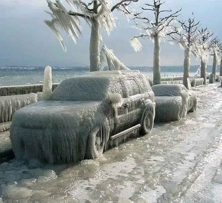 totalfrozencars.jpg